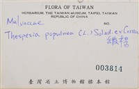 繖楊藏品圖，第2張